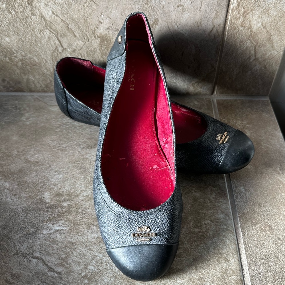Coach Chelsea leather ballet flat in a 7.5